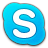 Skype Normal Icon